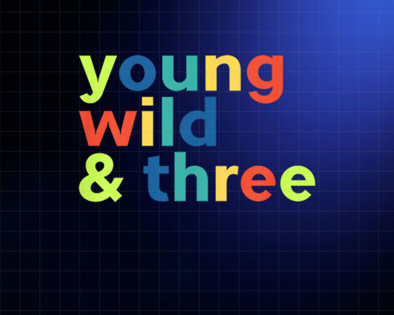 3rd Birthday Boy Funny Young Wild Three PNG, DTF, DTG, Sublimation Design