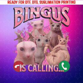 Bingus is Calling Funny Sphinx Cat Meme Bootleg Graphic Shirt PNG, DTF, DTG, Sublimation Design