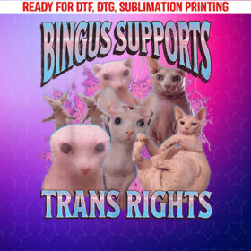 Bingus Supports Trans Rights Funny Sphinx Cat Meme Bootleg Shirt PNG, DTF, DTG, Sublimation Design