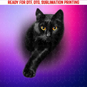 Black Cat Yellow Eyes Cats Tee Gifts Shirt PNG, DTF, DTG, Sublimation Design