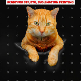 Cat Animals Creative Cat Motif Bag Cat Shirt PNG, DTF, DTG, Sublimation Design