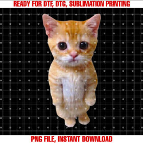 El Gato Meme Sad Crying Cat Munchkin Kitty Meme Trendy Shirt PNG, DTF, DTG, Sublimation Design