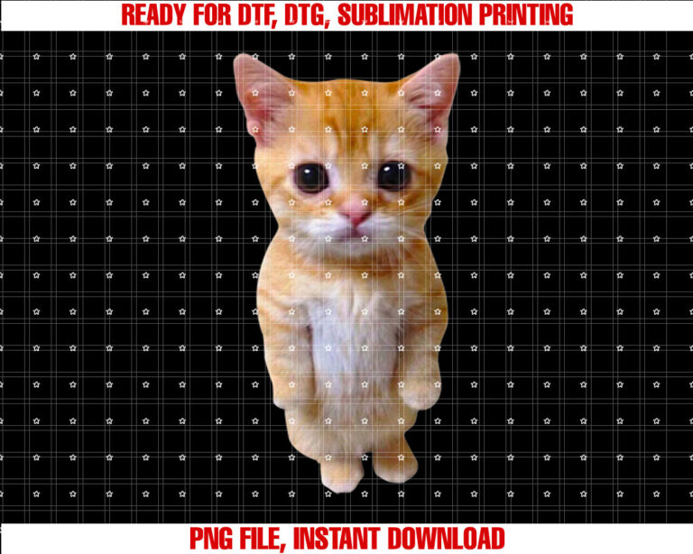 El Gato Meme Sad Crying Cat Munchkin Kitty Meme Trendy Shirt PNG, DTF, DTG, Sublimation Design