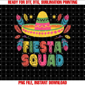 Fiesta Squad Family Matching Cinco De Mayo Shirt  PNG, DTF, DTG, Sublimation Design