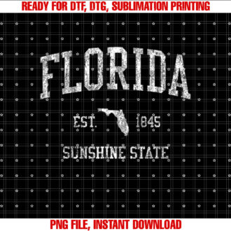 Florida Vacation Vintage Retro Dolphin Shirt  PNG, DTF, DTG, Sublimation Design