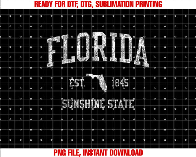 Florida Vacation Vintage Retro Dolphin Shirt  PNG, DTF, DTG, Sublimation Design