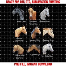 Horse Breeds Equestrian horseback riding gift for girls Shirt design, Digital Download
