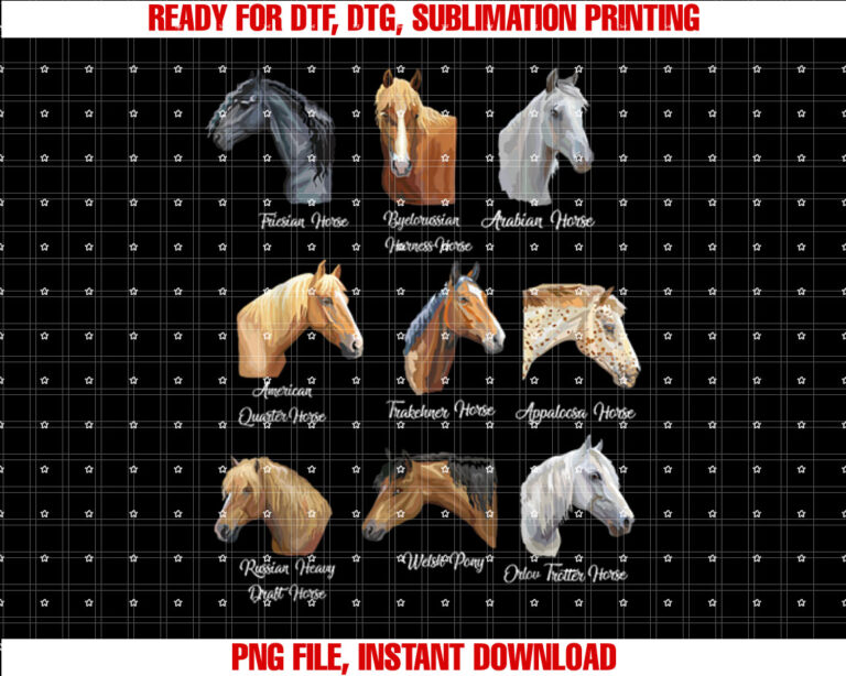 Horse Breeds Equestrian horseback riding gift for girls Shirt design, Digital Download