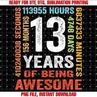 13 Years Old 13th Birthday Vintage Retro13 Years Old 13th Birthday Gift Vintage 156 Month Boys Girls T-shirt