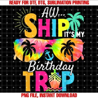 AW Ship Its My Birthday Trip Summer Vacation 2025Aw Ship Its My Birthday Trip Cruise Ship Vacation T-shirt
