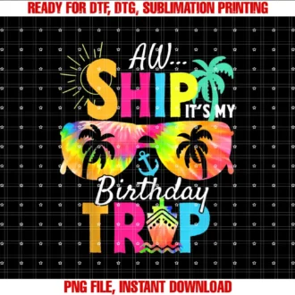 AW Ship Its My Birthday Trip Summer Vacation 2025Aw Ship Its My Birthday Trip Cruise Ship Vacation T-shirt