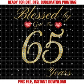 Ambitions Blessed By God For Bday PartyBlessed By God For 65 Years Old 65th Birthday For Women T-shirt