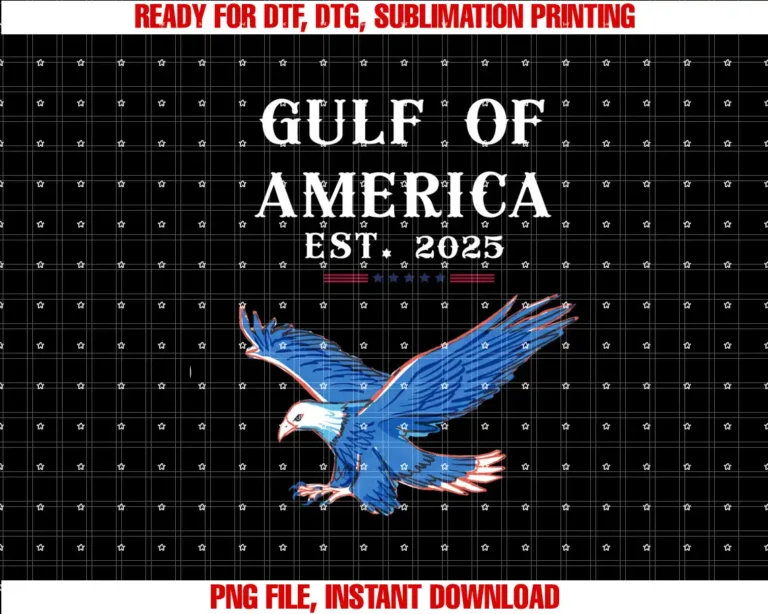 Americas Gulf CoFunny Gulf of USA America Flag T-shirt