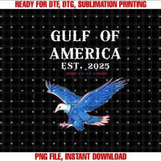 Americas Gulf CoFunny Gulf of USA America Flag T-shirt