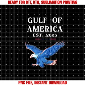 Americas Gulf CoFunny Gulf of USA America Flag T-shirt