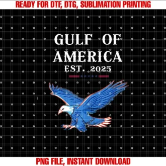 Americas Gulf CoFunny Gulf of USA America Flag T-shirt