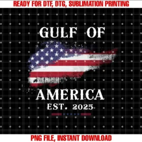 Americas Gulf CoGulf of USA America Funny Gulf of Mexico USA Flag T-shirt