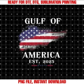 Americas Gulf CoGulf of USA America Funny Gulf of Mexico USA Flag T-shirt