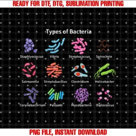 Bacteria Microbiologist Biology ScienceTypes of Bacteria Microbiologist Biology Science Teacher T-shirt