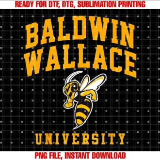 Baldwin Wallace University ApparelBaldwin Wallace University Athletics Arch Retro Vintage T-shirt
