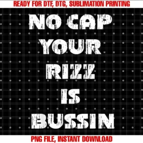 Beautiful Funny DesignNo Cap Your Rizz Is Bussin T-shirt
