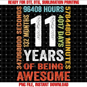 Birthday Gifts Boys Girls s11 Years 132 Months Of Being Awesome 11th Birthday Gift T-shirt