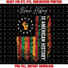 Black History Month GiftsBlack History Is American History Black History Month T-shirt