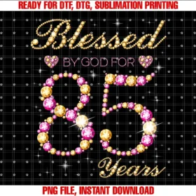Blessed Queens Birthday TeesBlessed By God For 85 Years Old Birthday Party T-shirt