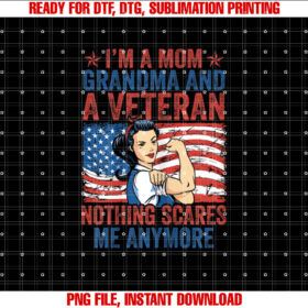 Veteran Veterans Day T-shirt