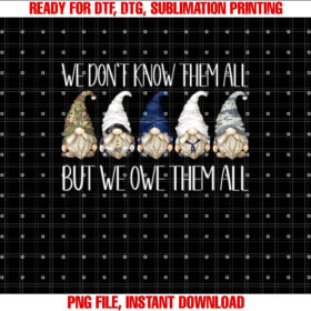 Memorial Day Gnome We Dont Know Them All But We Owe Them All T-shirt