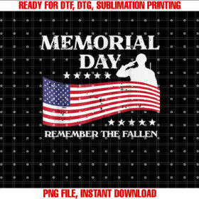 Memorial Day USA Flag Remember Honor Patriot Men Women Kids T-shirt