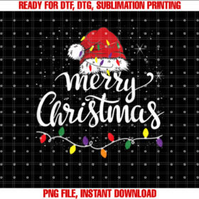 Merry Christmas Lights Red Santa Hat Xmas Family Men Women T-shirt