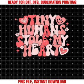 Nicu Nurse Women Valentines Day Tiny Humans Stole My Heart T-shirt