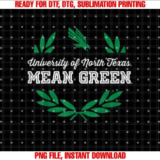 North Texas Mean Green NCAA University of Merch 1709EL09 T-shirt