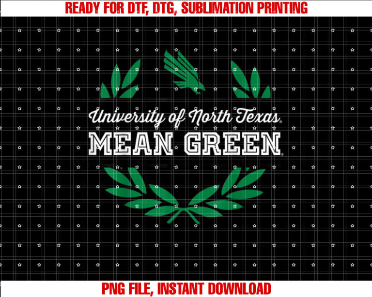 North Texas Mean Green NCAA University of Merch 1709EL09 T-shirt