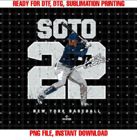 Number and Portrait Juan Soto New York Mlbpa T-shirt