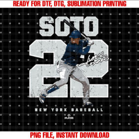 Number and Portrait Juan Soto New York Mlbpa Sweat T-shirt