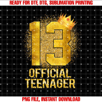Official Teenager 13th Birthday 13 Year Old Gift Boys Girls T-shirt