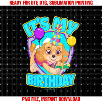 PAW Patrol Birthday Its My Birthday Cute Skye T-shirt