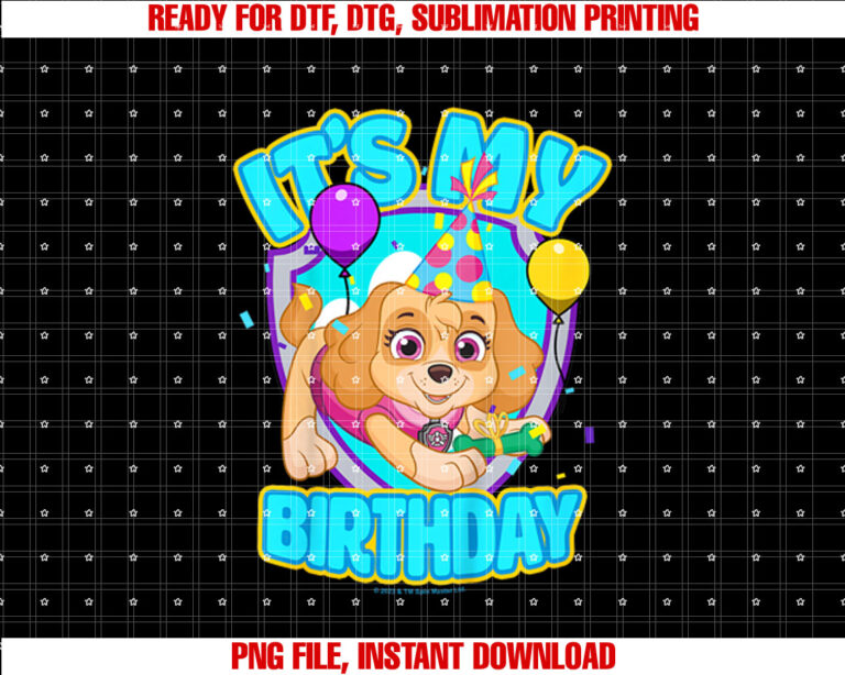 PAW Patrol Birthday Its My Birthday Cute Skye T-shirt