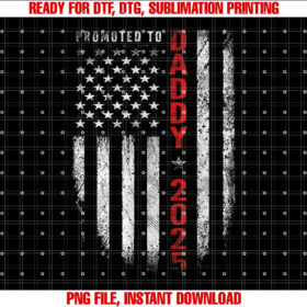 Patriotic Mens Promoted to Daddy Est 2025 First Time Dad T-shirt