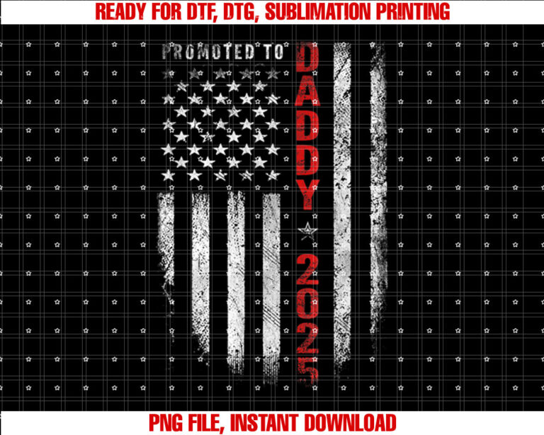 Patriotic Mens Promoted To Daddy Est 2025 First Time Dad T-shirt