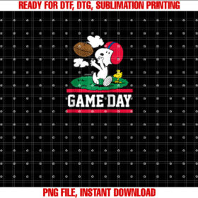 Peanuts Snoopy Woodstock Football Game Day Raglan Baseball  T-shirt