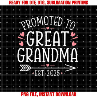 Promoted To Great Grandma Est 2025 First Time New Grandma T-shirt