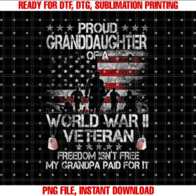 Proud Granddaughter of a Wwii Veteran Us Flag Veteran Day T-shirt