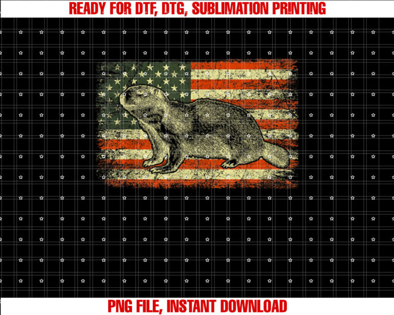 Punxsy Phil American Flag Groundhog Day T-shirt