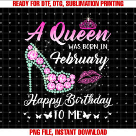 Queen Was Born in February Cute Funny Happy Birthday Gifts T-shirt
