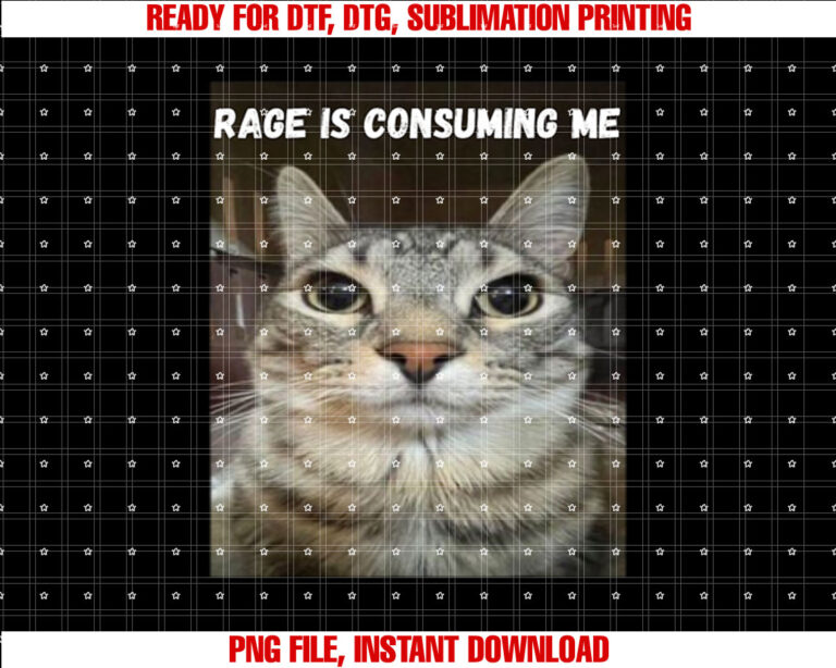 Rage Is Consuming Me Cat T-shirt