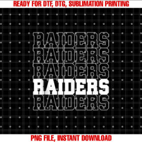 Raiders Name Usa Flag Gift Men Women Boy Girl T-shirt