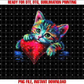 Rainbow Cute Cat Hugging Heart Pillow Valentine Love Cat T-shirt
